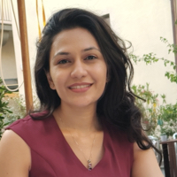 Sharmin N. Chougule